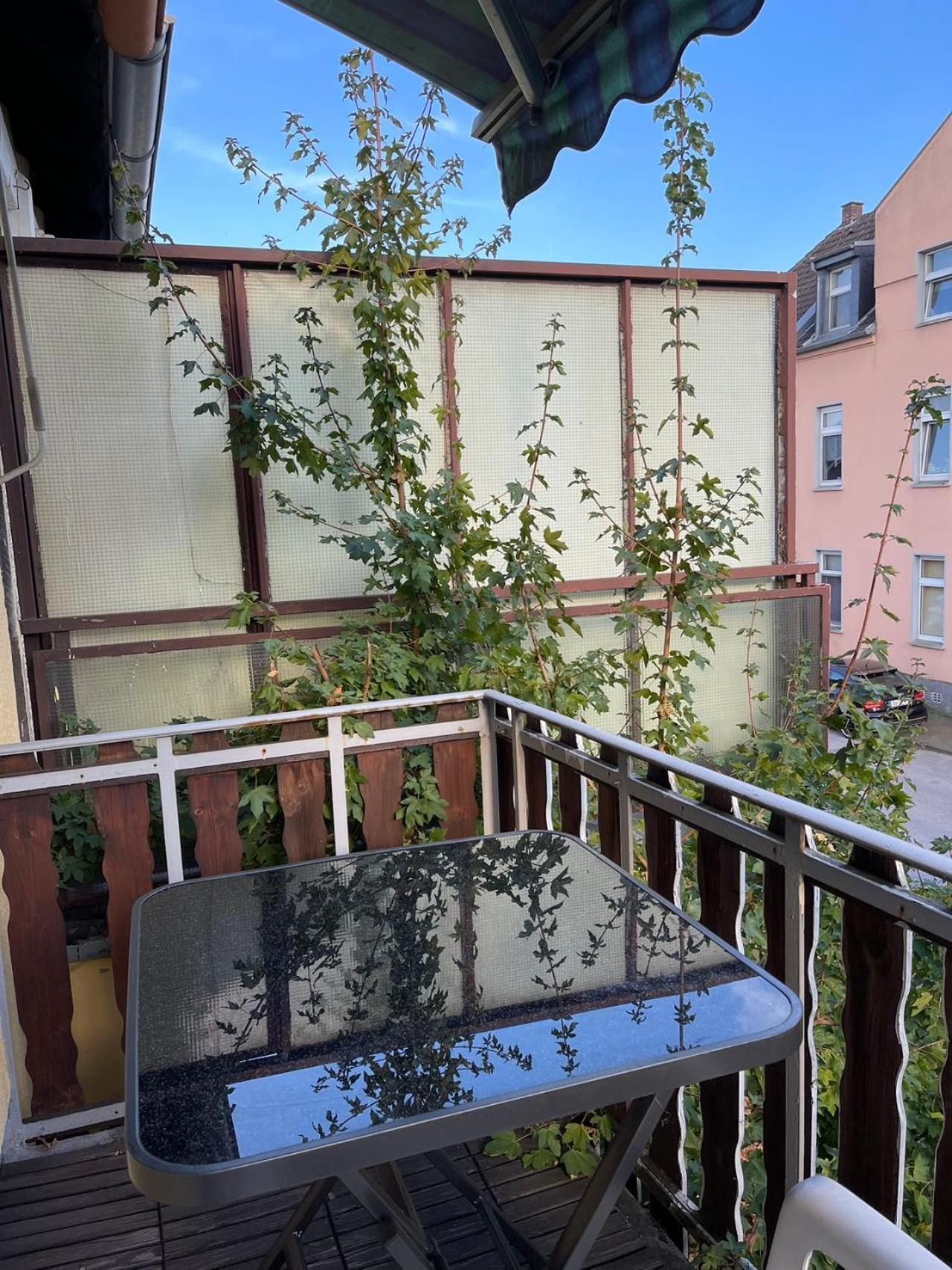 Duesseldorf Messe And Airport, 2-bedroom With Kitchen And Garden Duisburg